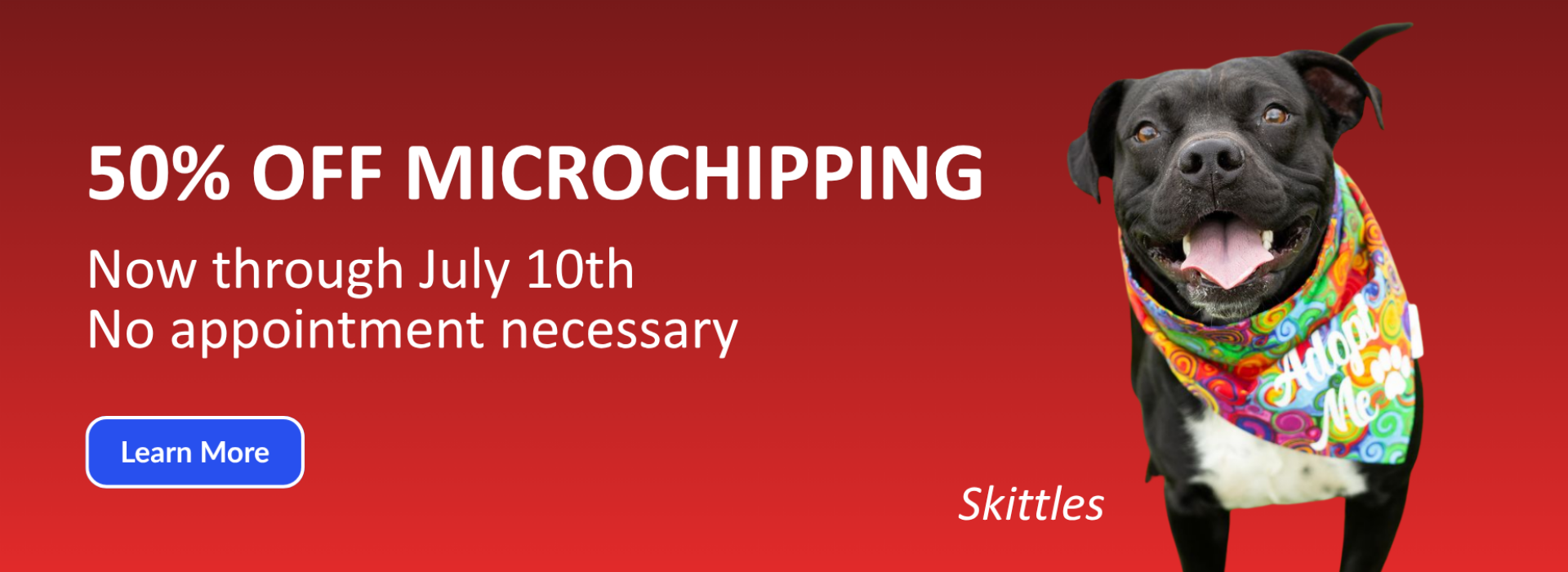 50% off microchips